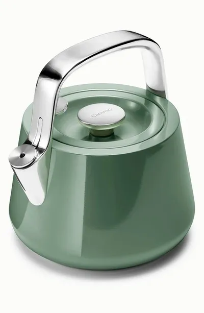 Caraway Whistling Tea Kettle In Sage