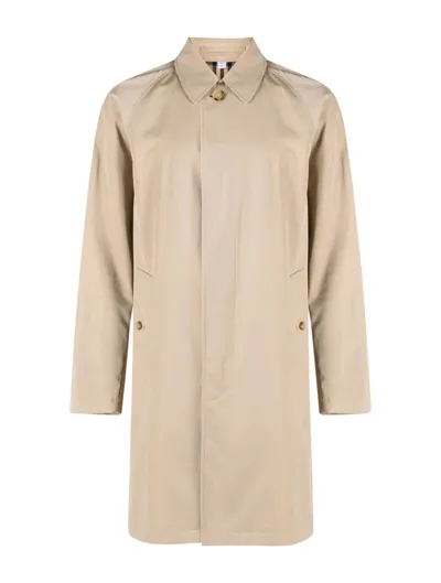 Burberry Cotton Trench Coat In Cream