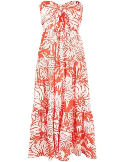 Borgo De Nor Marley Floral-print Off-shoulder Dress In Red