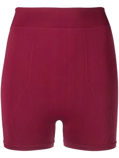 Rick Owens Knitted Shorts In Dark Pink