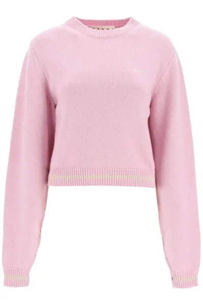 Marni Sweater With Embroidered Logo In Pink