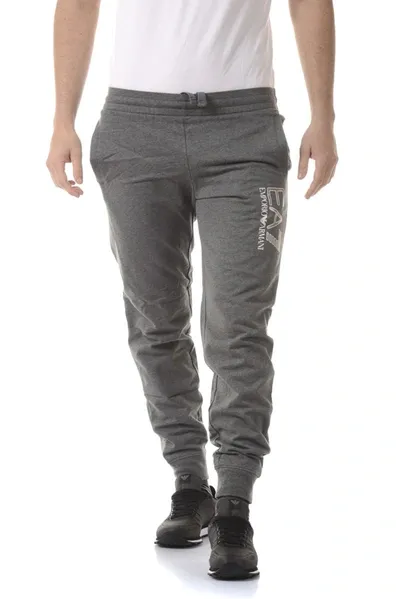 Ea7 Emporio Armani  Tracksuit In Grey