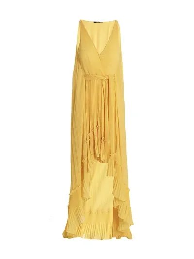 Ungaro Sheridan Maxi Dress In Yellow