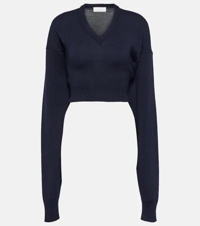 Sportmax Pomez Cropped Wool Sweater In Blue