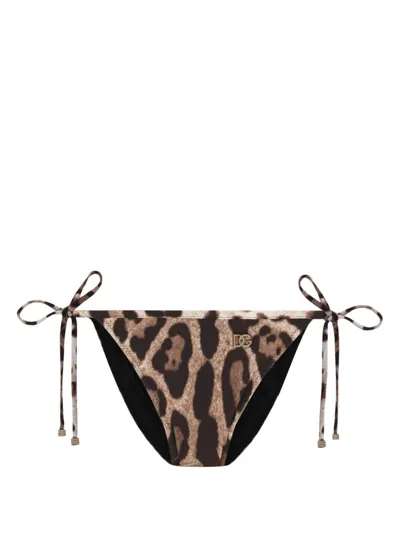 Dolce & Gabbana Leopard-print Bikini Bottom In Brown