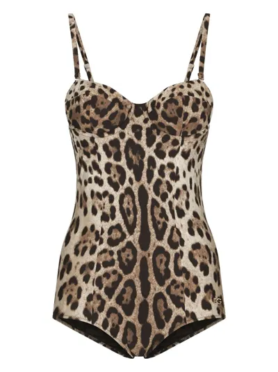 Dolce & Gabbana Leopard-print Logo-lettering Swimsuit In Neutrals