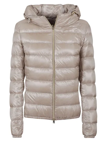 Herno Zipped Padded Jacket In Grey