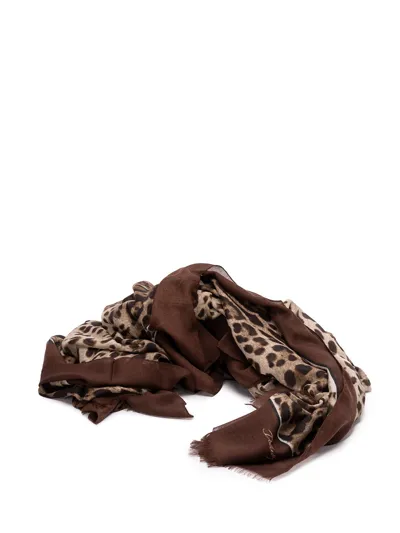 Dolce & Gabbana Scarf In Brown