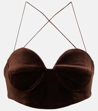 Alex Perry Halterneck Velvet Bralette In Brown