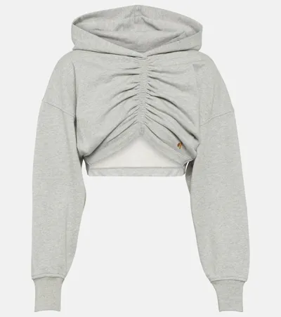 Palm Angels Cropped Cotton Jersey Hoodie In Grey