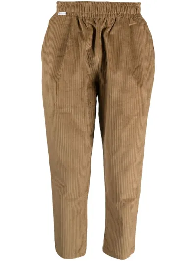 Family First Chino Velvet Clothing In Beige