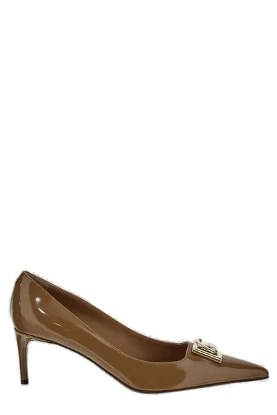 Dolce & Gabbana Dg Plaque Pointed Toe Pumps In Brown