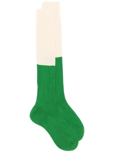 Sofie D'hoore Bicolour Ribbed Knee High Socks In Multicolour