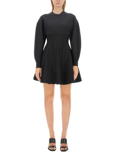 Alexander Mcqueen Long Sleeved Crewneck Mini Dress In Black