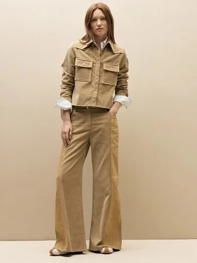 Twp Styles Pant In Brown