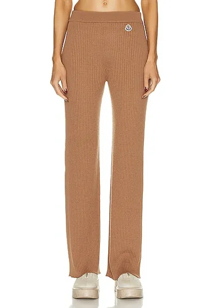 Moncler Knit Rib Pants In Brown