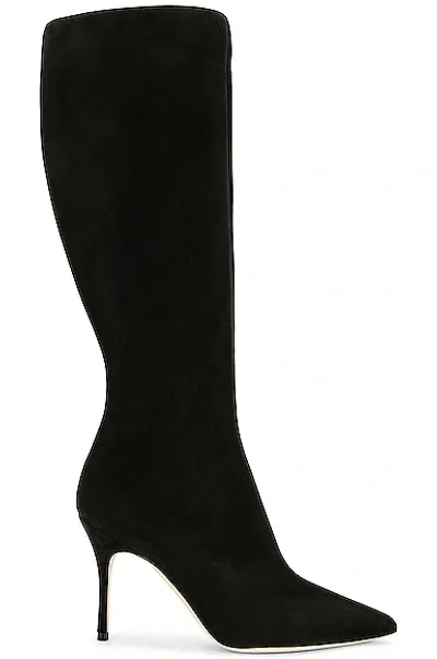 Manolo Blahnik Oculara 90 Suede Knee-high Boots In Black