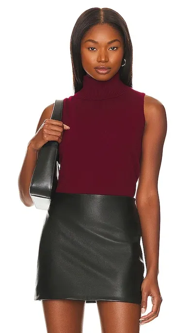 Aexae Sleeveless Roll Neck Top In Burgundy