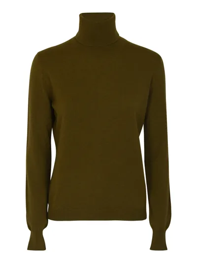 Alyki Roll Neck Slim Plain Pullover In Jupiter