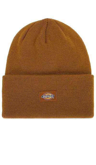 Dickies Tall Beanie In Brown Duck