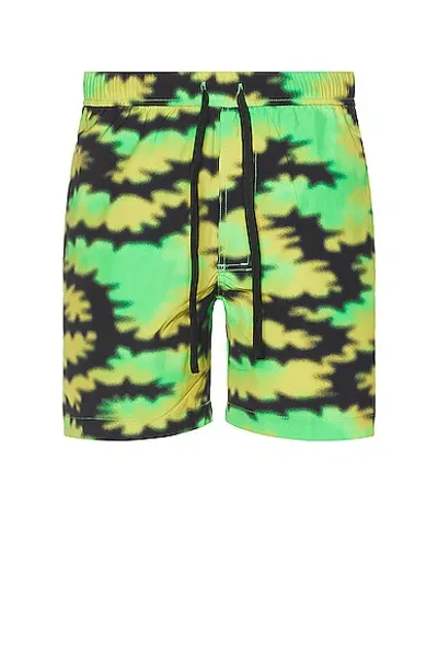 Double Rainbouu Night Swim Shorts In Silent Morning Lime