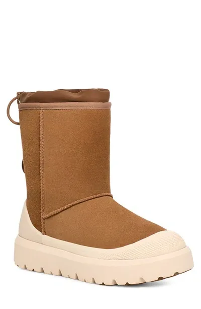 Ugg Classic Short Hybrid Winter Boot In Chestnut/whitecap