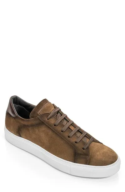 To Boot New York Men's Derrick Suede Low-top Sneakers In Sigaro