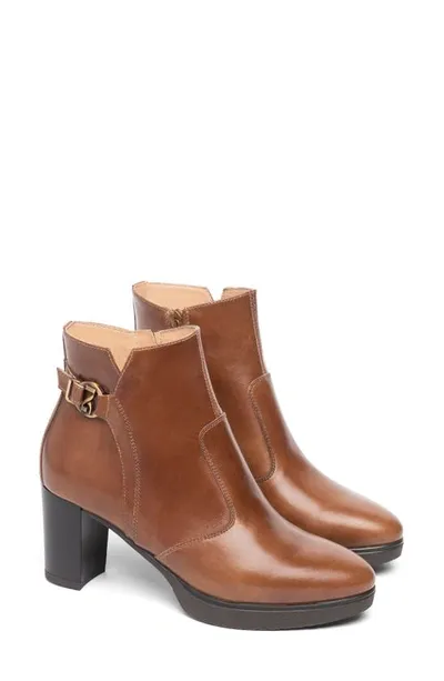 Nerogiardini Platform Bootie In Cognac