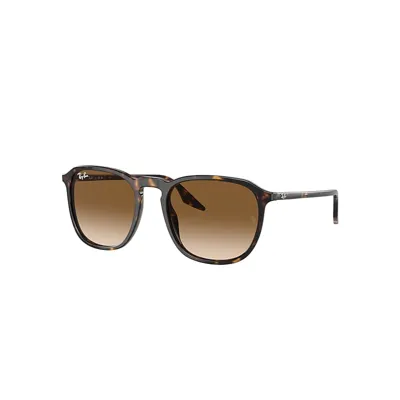 Ray Ban Rb2203 Sunglasses Havana Frame Brown Lenses 55-20