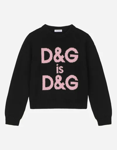 Dolce & Gabbana Round-neck Sweater With Dg Logo Inlay In Multicolor