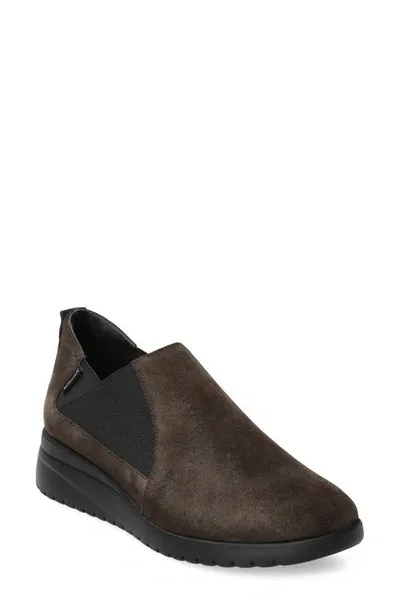 Mephisto Ibelina Wedge Slip-on Sneaker In Dark Brown