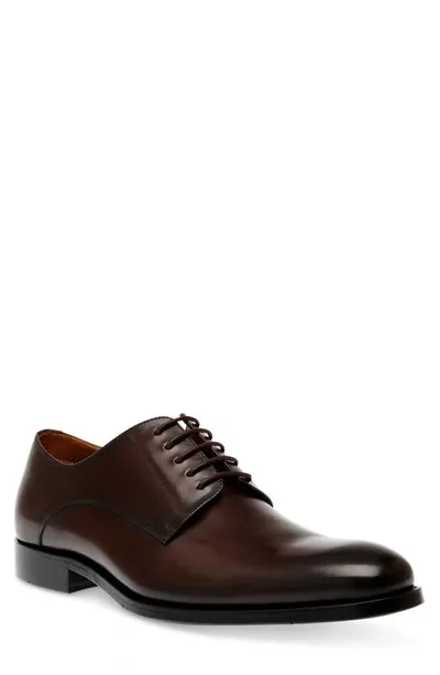 Steve Madden Daedric Derby In Brown Leather