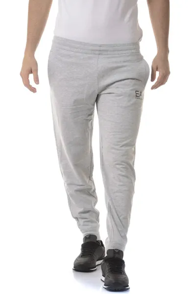 Ea7 Emporio Armani  Tracksuit In Grey