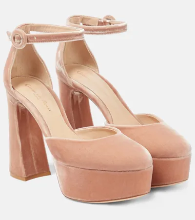 Gianvito Rossi Plateau-pumps Holly Aus Samt In Pink