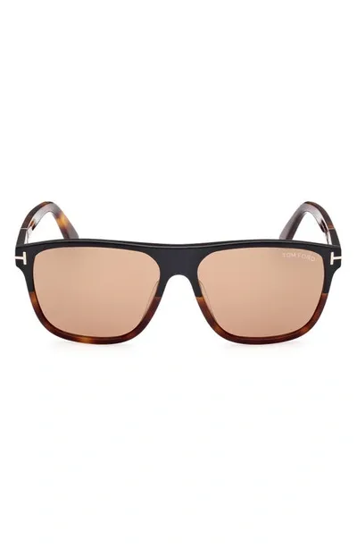 Tom Ford Brown Frances Sunglasses In Red   / Black / Brown