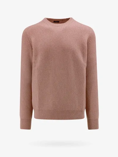 Nugnes 1920 Sweater In Pink