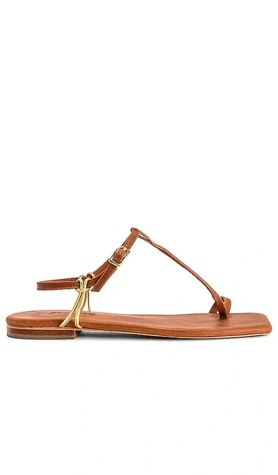 Johanna Ortiz Sun Downer Sandals In Chocolate