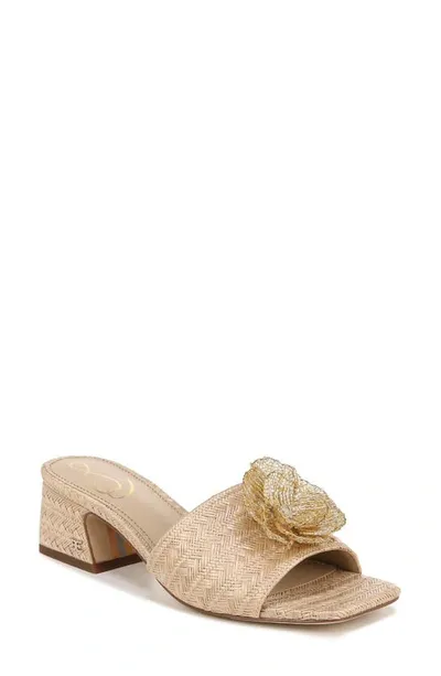 Sam Edelman Winsley Raffia Slide Sandal In Natural