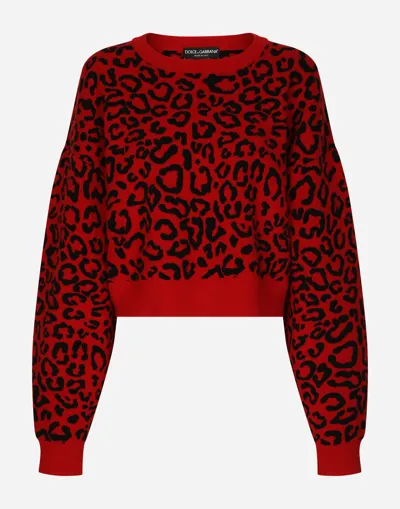 Dolce & Gabbana Cropped Wool Sweater With Leopard Inlay In Combined Colour