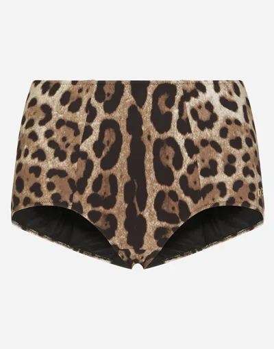 Dolce & Gabbana Leopard-print High-waisted Bikini Bottoms