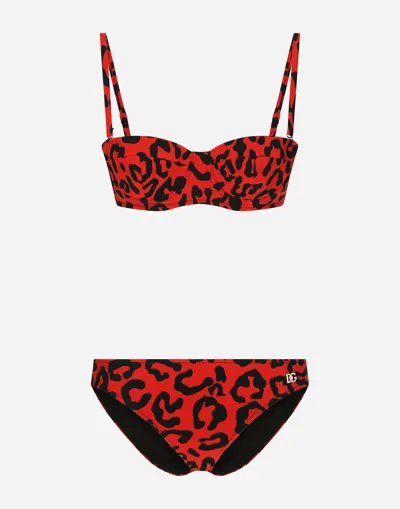 Dolce & Gabbana Leopard-print Balconette Bikini In Leo Nero Fdo Rosso