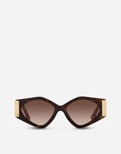 Dolce & Gabbana Tortoiseshell Round-frame Sunglasses In Havana On White Barrow