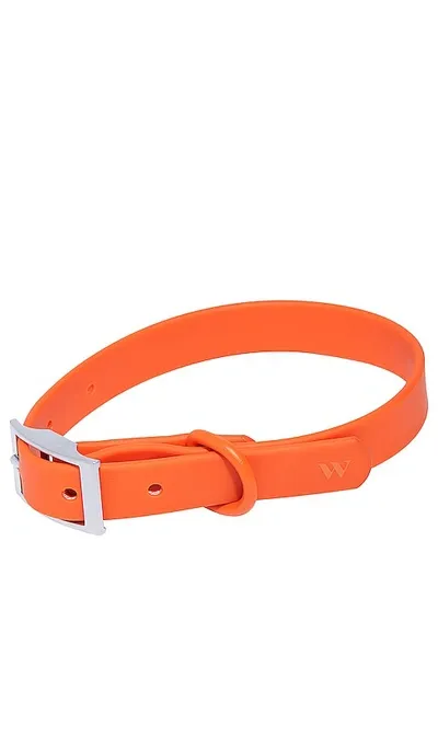 Wild One X Revolve Small Collar In Burnt Orange