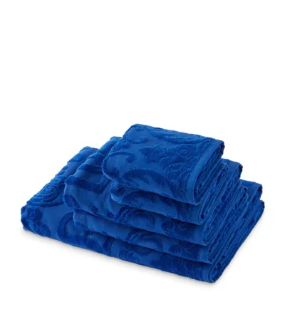 Dolce & Gabbana Set Of 5 Towels In Blue