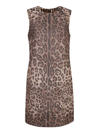 Dolce & Gabbana Leopard Print Wool Dress In Grey