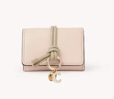 Chloé Wallet With Detail In Pink