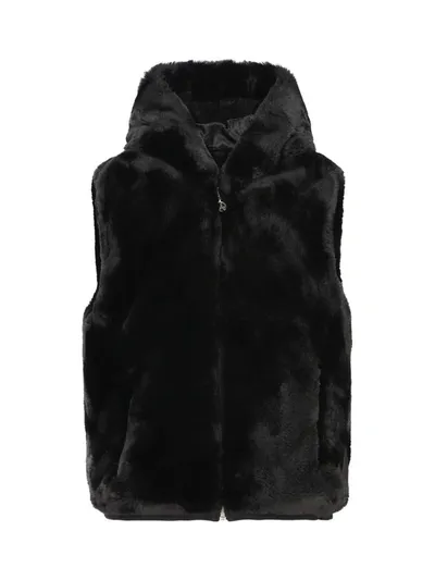 Moose Knuckles Zipped Hooded Gilet In Black