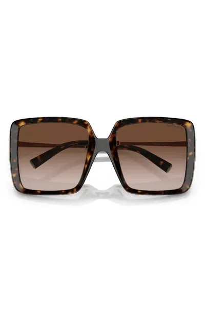 Tiffany & Co 55mm Gradient Square Sunglasses In Brown