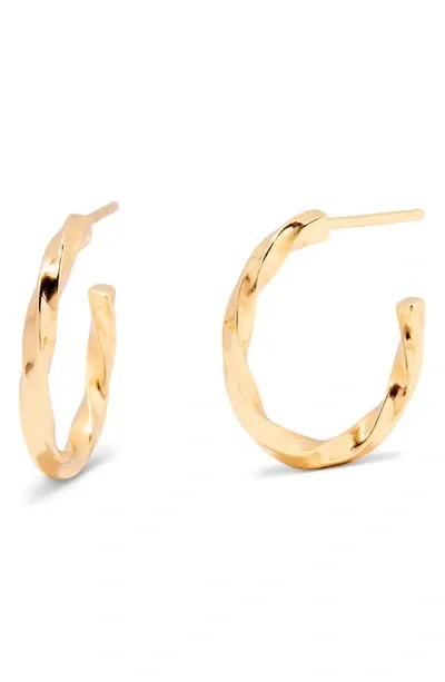 Brook & York Brooke Twisted Rope Hoop Earrings In Gold