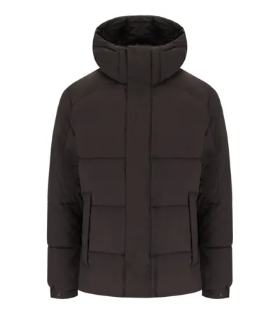 Save The Duck Narcissus Brown Hooded Padded Jacket